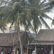 ヒメ日記 2025/07/04 15:05 投稿 しょう 待ちナビ