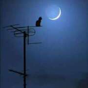 ヒメ日記 2025/07/06 00:15 投稿 しょう 待ちナビ