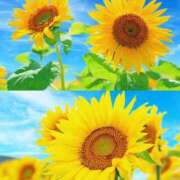 ヒメ日記 2025/07/20 21:15 投稿 しょう 待ちナビ