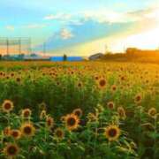 ヒメ日記 2025/07/31 16:49 投稿 しょう 待ちナビ