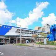 ヒメ日記 2025/08/03 10:45 投稿 しょう 待ちナビ