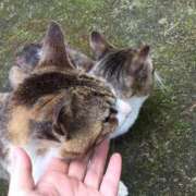 ヒメ日記 2025/08/06 17:25 投稿 しょう 待ちナビ