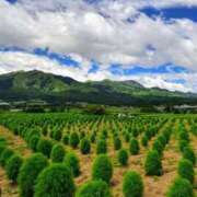 ヒメ日記 2025/08/11 21:50 投稿 しょう 待ちナビ