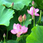 ヒメ日記 2025/08/17 22:05 投稿 しょう 待ちナビ