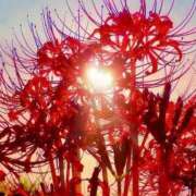 ヒメ日記 2025/09/12 16:55 投稿 しょう 待ちナビ