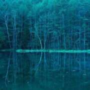 ヒメ日記 2025/09/12 18:38 投稿 しょう 待ちナビ