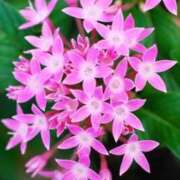 ヒメ日記 2025/09/21 14:55 投稿 しょう 待ちナビ