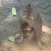 ヒメ日記 2025/09/25 16:47 投稿 しょう 待ちナビ