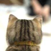 ヒメ日記 2025/09/28 20:50 投稿 しょう 待ちナビ