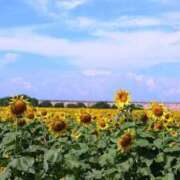 ヒメ日記 2025/09/29 17:37 投稿 しょう 待ちナビ