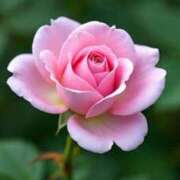 ヒメ日記 2025/10/06 16:55 投稿 しょう 待ちナビ