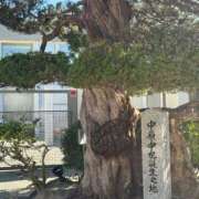 ヒメ日記 2025/10/06 18:44 投稿 しょう 待ちナビ