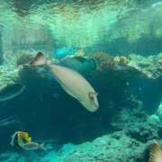 ヒメ日記 2025/10/07 19:05 投稿 しょう 待ちナビ