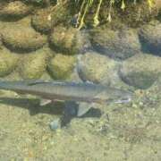 ヒメ日記 2025/10/09 23:16 投稿 しょう 待ちナビ