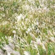 ヒメ日記 2025/10/13 21:35 投稿 しょう 待ちナビ