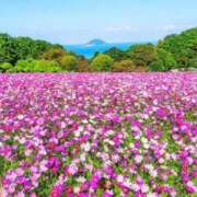 ヒメ日記 2025/10/14 14:54 投稿 しょう 待ちナビ