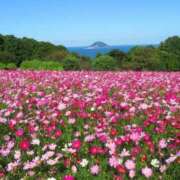 ヒメ日記 2025/10/25 21:15 投稿 しょう 待ちナビ