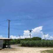 ヒメ日記 2025/10/26 22:45 投稿 しょう 待ちナビ