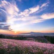 ヒメ日記 2025/11/01 01:35 投稿 しょう 待ちナビ