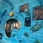 ヒメ日記 2025/11/01 13:38 投稿 しょう 待ちナビ