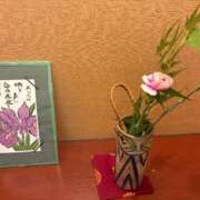 ヒメ日記 2025/11/01 18:35 投稿 しょう 待ちナビ