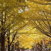 ヒメ日記 2025/11/04 22:21 投稿 しょう 待ちナビ