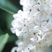 ヒメ日記 2025/11/07 17:55 投稿 しょう 待ちナビ