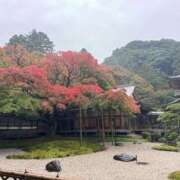 ヒメ日記 2025/11/11 14:51 投稿 しょう 待ちナビ