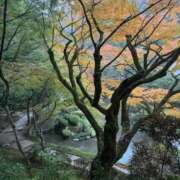 ヒメ日記 2025/11/11 17:53 投稿 しょう 待ちナビ