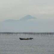 ヒメ日記 2025/11/14 20:55 投稿 しょう 待ちナビ