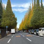 ヒメ日記 2025/11/14 21:26 投稿 しょう 待ちナビ