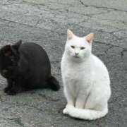 ヒメ日記 2025/11/15 14:25 投稿 しょう 待ちナビ