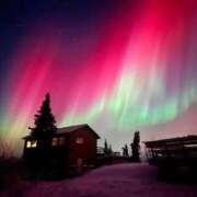 ヒメ日記 2025/11/15 17:55 投稿 しょう 待ちナビ