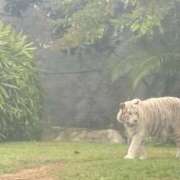 ヒメ日記 2025/11/29 19:25 投稿 しょう 待ちナビ