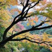 ヒメ日記 2025/12/03 15:05 投稿 しょう 待ちナビ