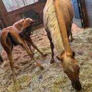 ヒメ日記 2025/12/03 16:15 投稿 しょう 待ちナビ