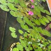 ヒメ日記 2025/12/04 21:05 投稿 しょう 待ちナビ