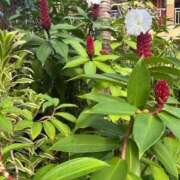 ヒメ日記 2025/12/13 19:15 投稿 しょう 待ちナビ