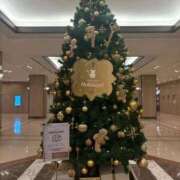 ヒメ日記 2025/12/14 12:43 投稿 しょう 待ちナビ