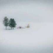 ヒメ日記 2025/12/17 17:45 投稿 しょう 待ちナビ