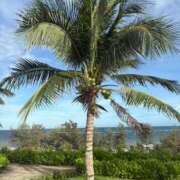 ヒメ日記 2025/12/17 18:48 投稿 しょう 待ちナビ