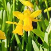 ヒメ日記 2025/12/20 18:15 投稿 しょう 待ちナビ