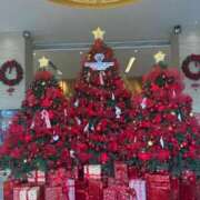 ヒメ日記 2025/12/21 18:42 投稿 しょう 待ちナビ