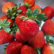 ヒメ日記 2026/02/22 07:34 投稿 しょう 待ちナビ