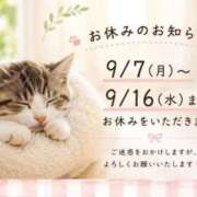 ヒメ日記 2026/09/05 07:27 投稿 しょう 待ちナビ