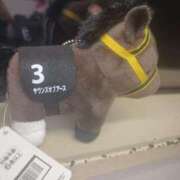 ヒメ日記 2026/02/16 13:44 投稿 さち 奴隷コレクション