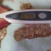 ヒメ日記 2025/03/15 08:38 投稿 さゆり エレガンス(広島)