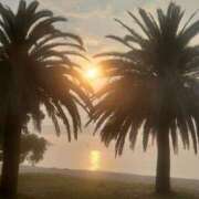 ヒメ日記 2025/07/09 08:30 投稿 さゆり エレガンス(広島)