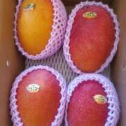 ヒメ日記 2025/07/27 13:28 投稿 さゆり エレガンス(広島)