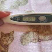 ヒメ日記 2025/08/16 09:02 投稿 さゆり エレガンス(広島)